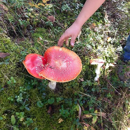 Naturfreundehaus Clavadel Kro Davos