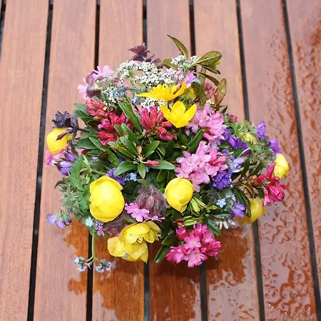 Kro Naturfreundehaus Clavadel Davos