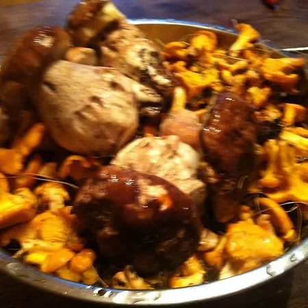 여관 Naturfreundehaus Clavadel