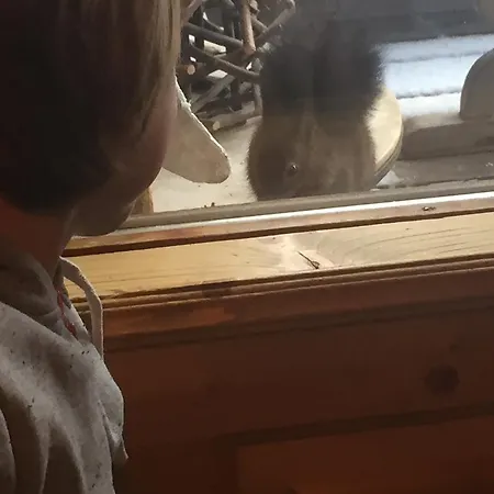 Naturfreundehaus Clavadel Kro *