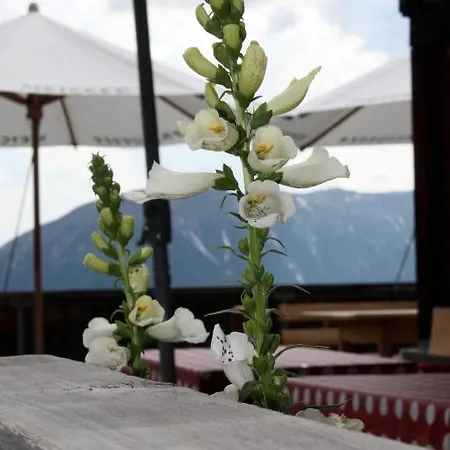 Naturfreundehaus Clavadel 여관 *