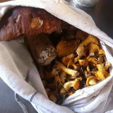 Naturfreundehaus Clavadel 여관 다보스