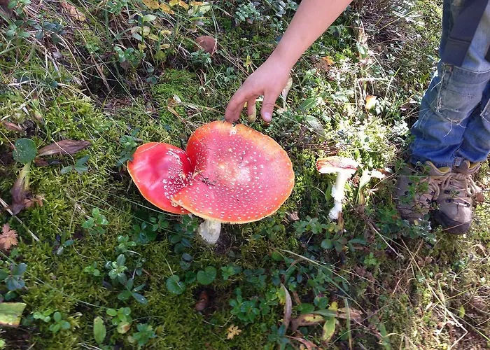 Naturfreundehaus Clavadel Fogadó Davos
