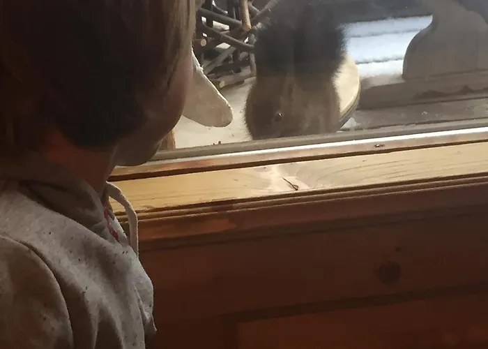 Naturfreundehaus Clavadel Herberg *