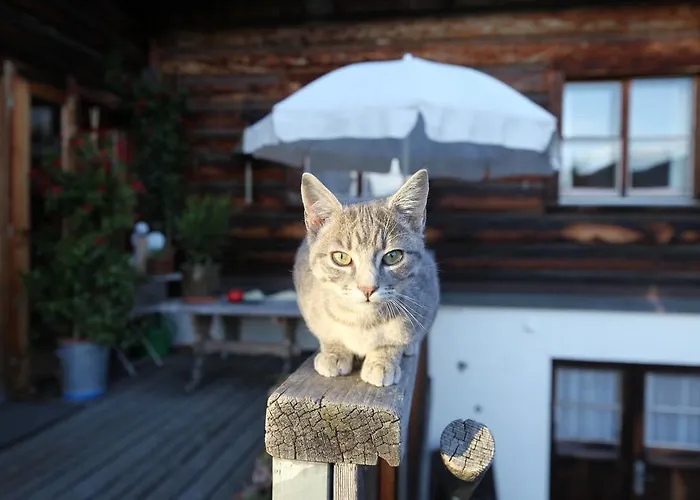 Naturfreundehaus Clavadel Fogadó Davos