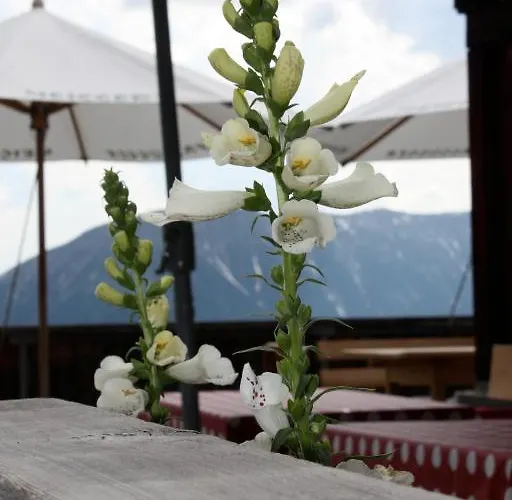 Naturfreundehaus Clavadel Fogadó *