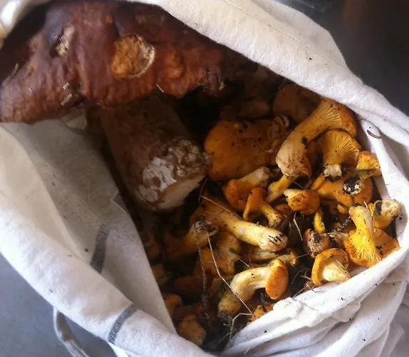 Naturfreundehaus Clavadel Locanda Davos