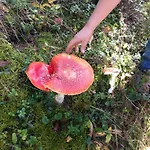 Naturfreundehaus Clavadel Värdshus Davos