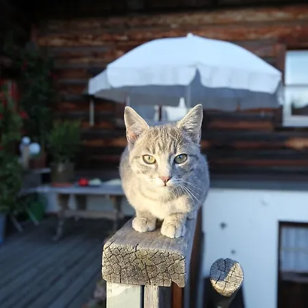 Naturfreundehaus Clavadel Värdshus Davos